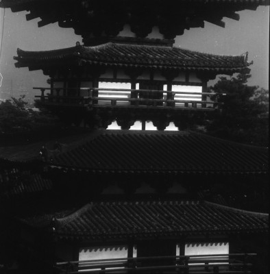 knd_27009()