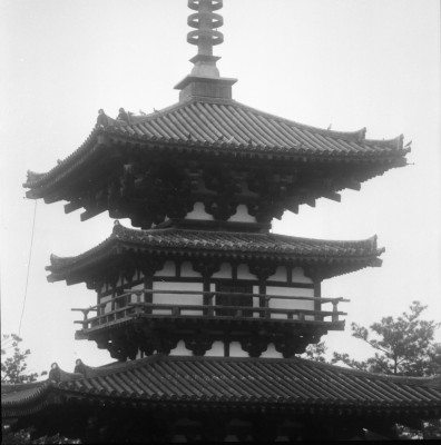 knd_27019()