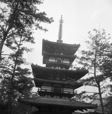 knd_27033()