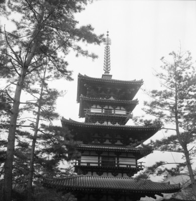 knd_27036()