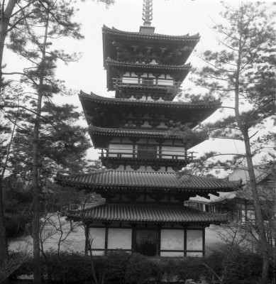 knd_27049()