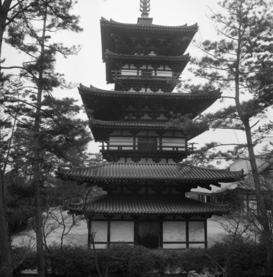 knd_27051()