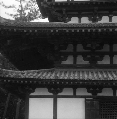 knd_27064()