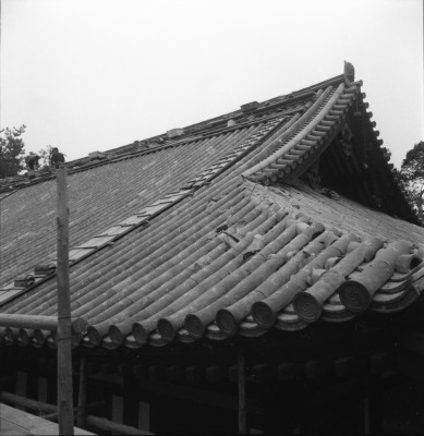 knd_27208()