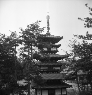 knd_27224()