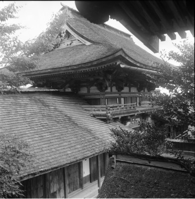 knd_27376()