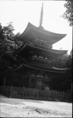 knd_27419()