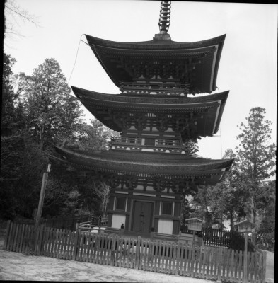 knd_27453()