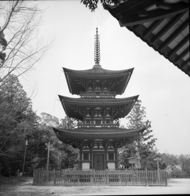 knd_27459()