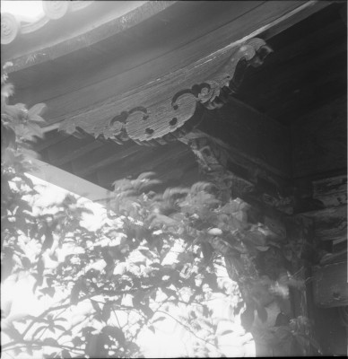 knd_27484()