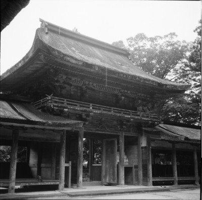 knd_27519()
