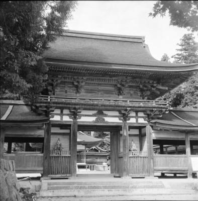 knd_27521()