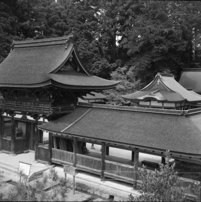 knd_27525()