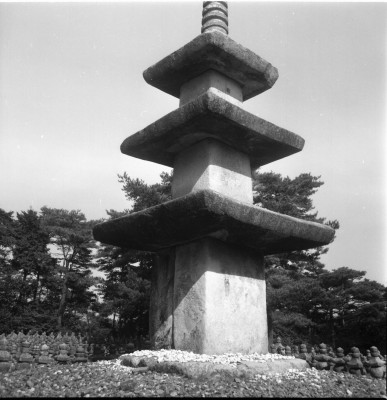 knd_27614()