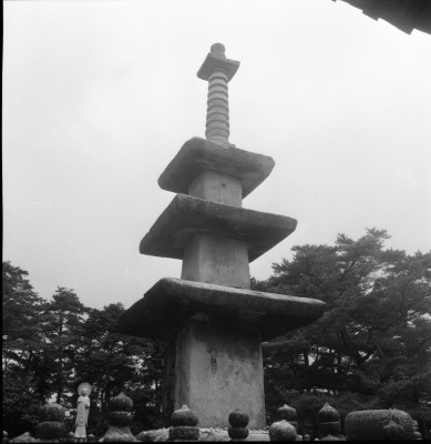 knd_27642()