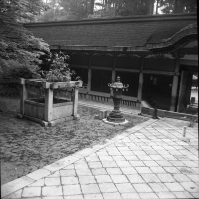 knd_28154()