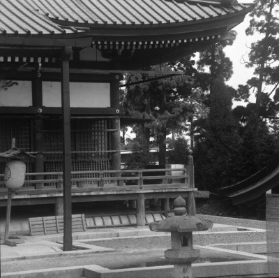 knd_28204()