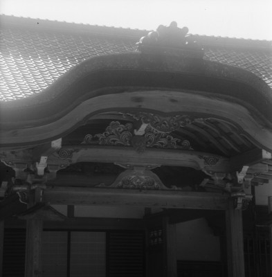 knd_28223()