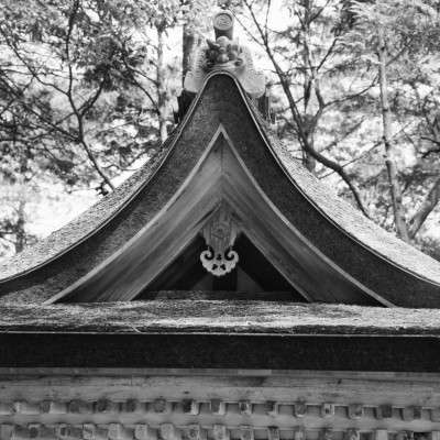 knd_28694()