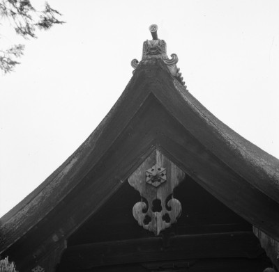 knd_28895()