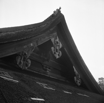 knd_28971()