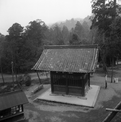 knd_28982()