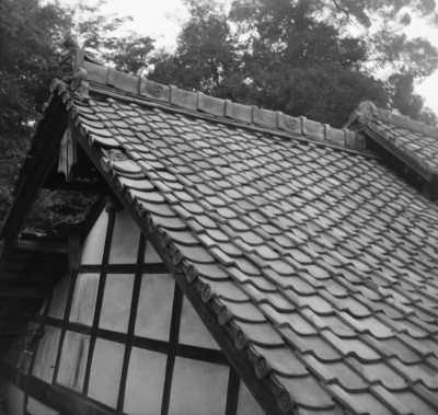 knd_29019()