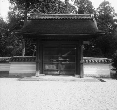knd_29184()