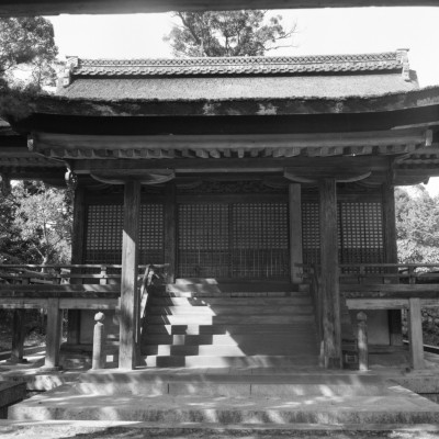 knd_29194()