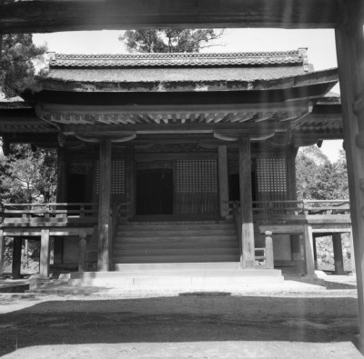 knd_29196()