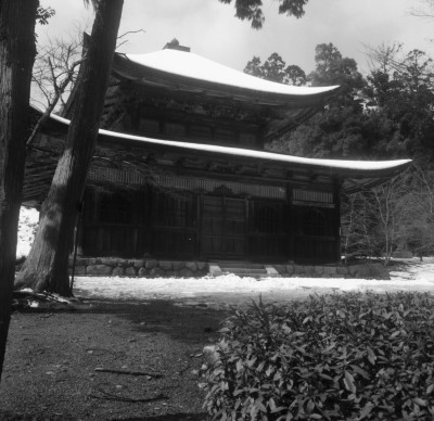knd_29231()