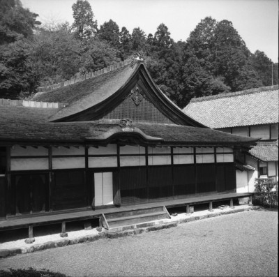 knd_29487()