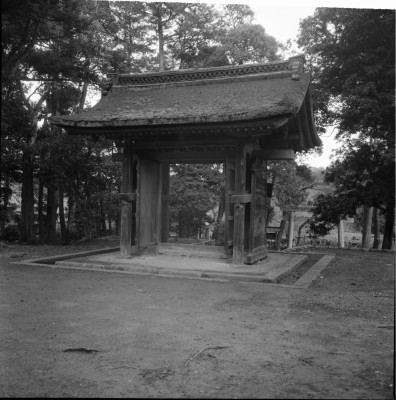 knd_29538()