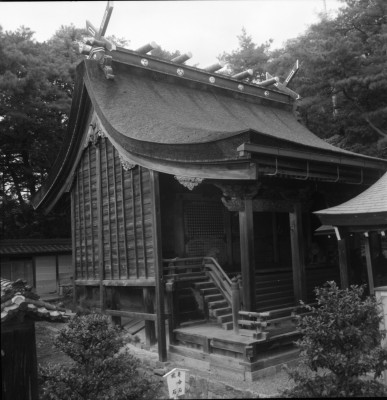 knd_29742()