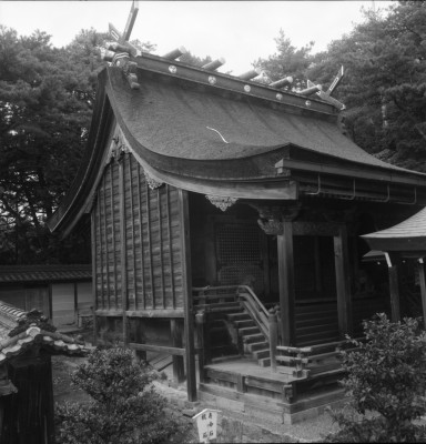 knd_29743()