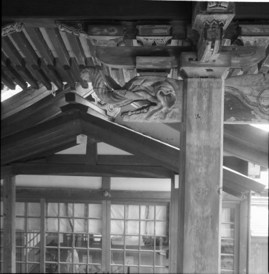 knd_29756()