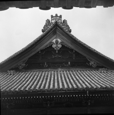 knd_29972()