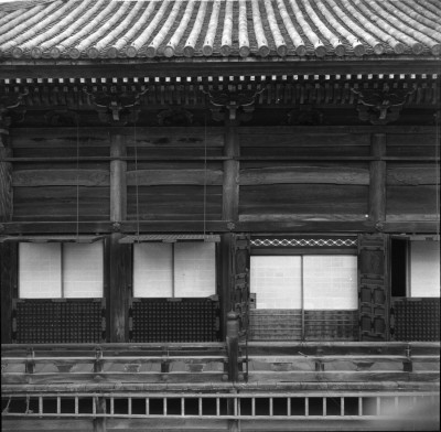 knd_29981()
