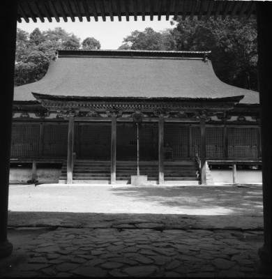knd_30113()