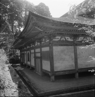 knd_30121()