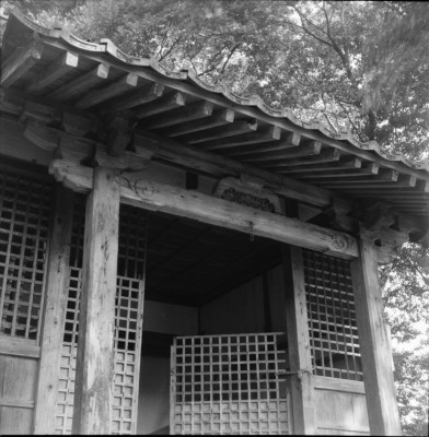knd_30398()