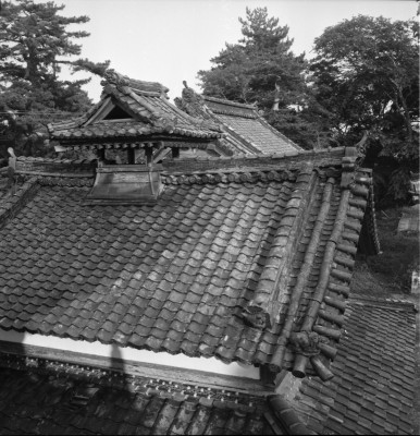 knd_30412()