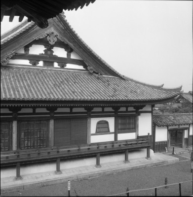 knd_30444()
