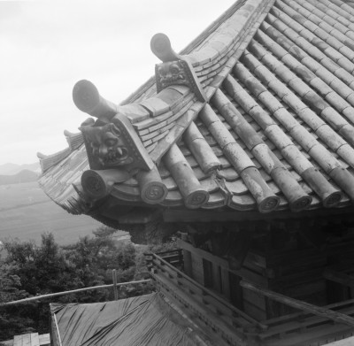 knd_30982()