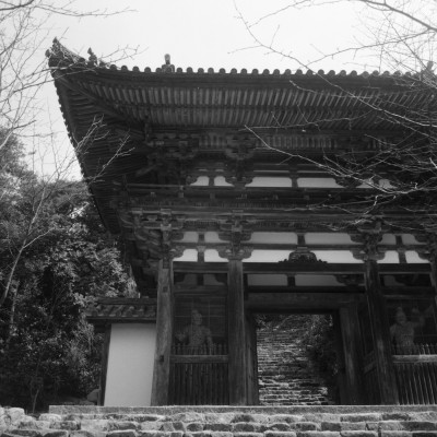 knd_30991()