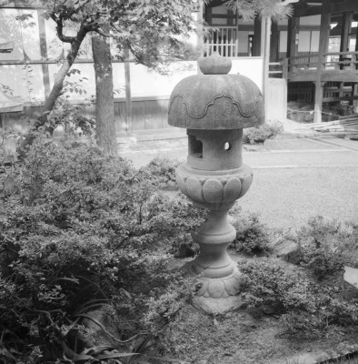 knd_31112()