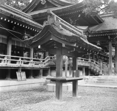 knd_31142()