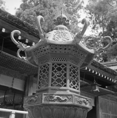 knd_31172()