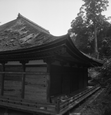 knd_31233()