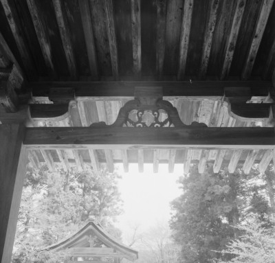 knd_31254()